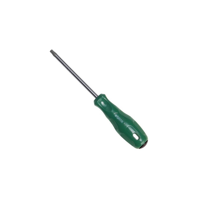 **WKRĘTAK TORX T15 X 100MM