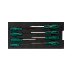 ZESTAW 8 WKRĘTAKÓW TORX - W PIANCE EVA