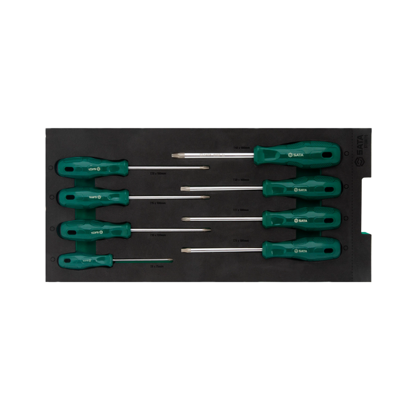 ZESTAW 8 WKRĘTAKÓW TORX - W PIANCE EVA