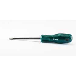 **WKRĘTAK TORX T30 X 100MM