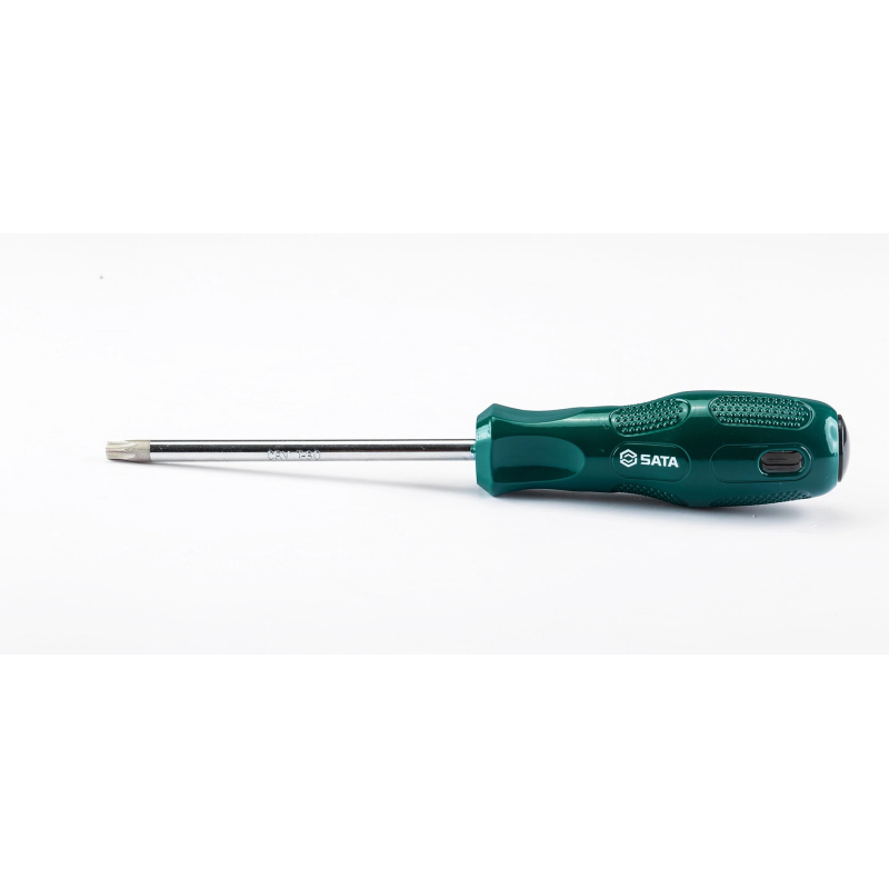 **WKRĘTAK TORX T30 X 100MM