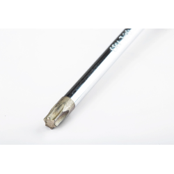 **WKRĘTAK TORX T30 X 100MM