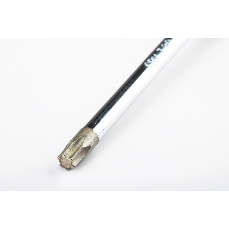 **WKRĘTAK TORX T30 X 100MM