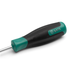 **WKRĘTAK PHILIPS SERIA T 1x100mm